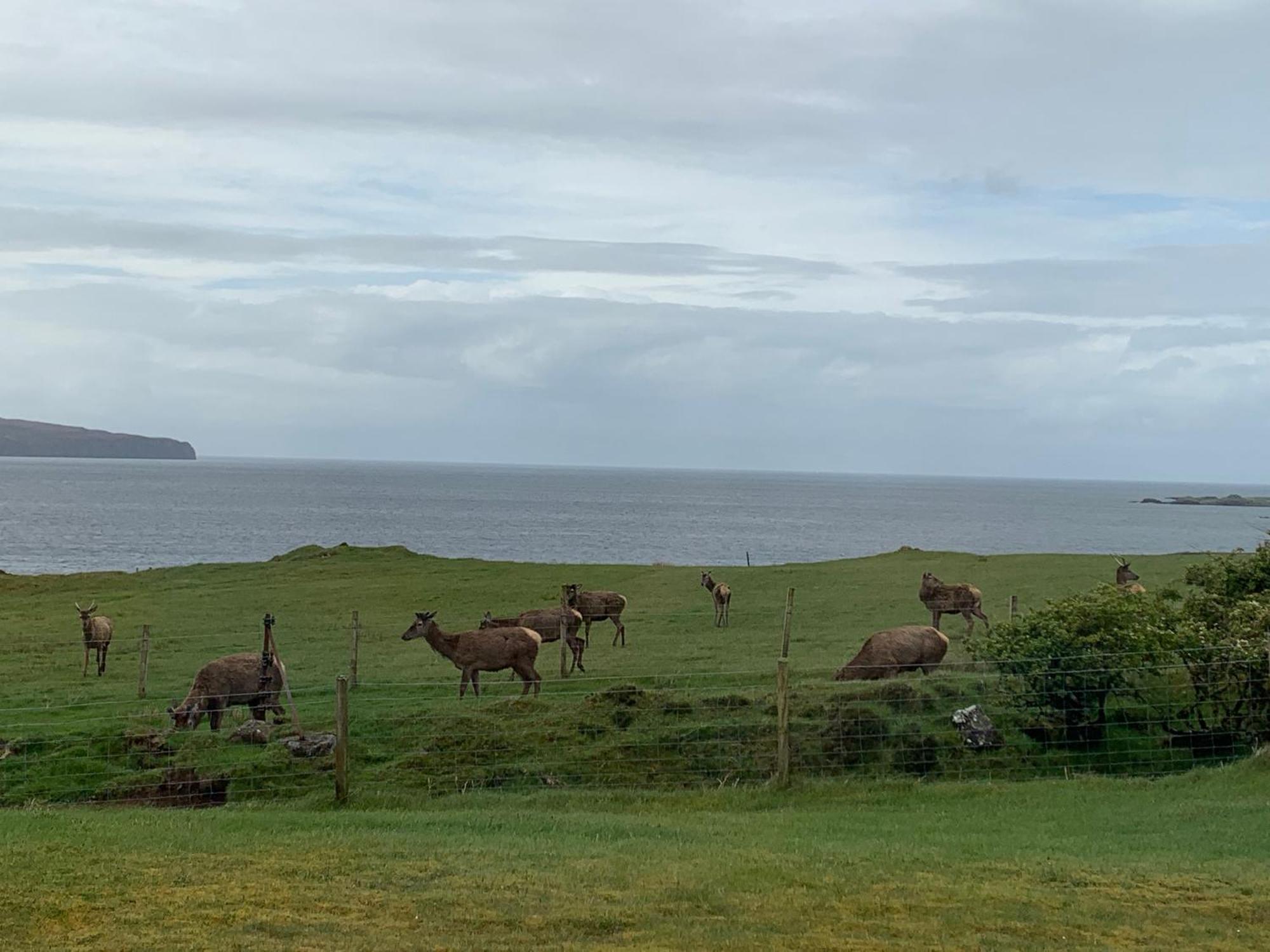 Coral Cabins Dunvegan  Room photo